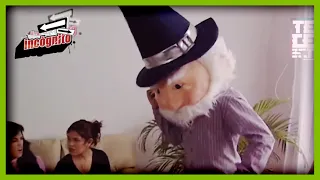 Incógnito: Salvando a Jaimito de las drogas | Mi papá es un Duende | Telehit