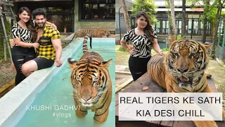 Real Tigers ke sath kia desi chill | Khushi Gadhvi Vlogs #khushigadhvi #sachinmann #couplevlog