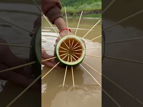 Bushcraft Skills: New Watermelon Skills in Forest #survival #camping #useful
