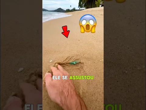 Ele se assustou quando viu o que era 😳 #curiosidades