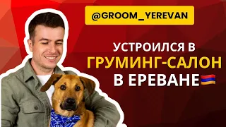 Устроился на работу в груминг-салон в Армении || Жизнь с чистого листа #груминг #ереван #армения