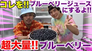 100％ブルーベリージュース作ってみたら予想しない展開に！？