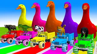 Paint Animals Duck,Dog,Cow,Bear,Buffalo,Dinosaur Fountain Crossing Animal Game Ne