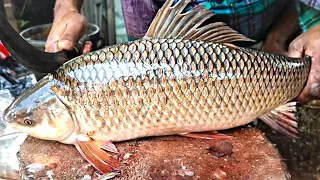 Live|| Big Rohu Fish Skinning And Chopping By A Expert Fish Cutter 2022