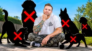 7 Dog Breeds NO Dog Trainer Ever Wants to Train..
