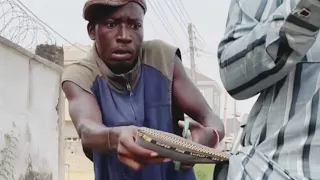 j'ai volé l'argent de Dangote mais je vais très vite le regretter 🤣