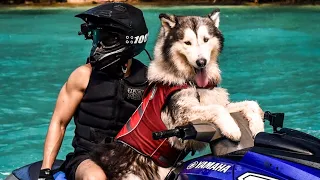 PERSIAPAN SHADOW MAIN JETSKI !