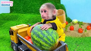 Farmer BiBi Monkey obedient take care of her friends Satisfying video Funny Animails Relaxing