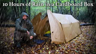 10 Hours of Rain in a Cardboard Tent