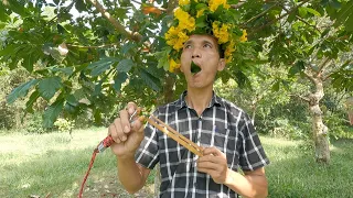 imitating the sounds of birds - nguyen dien trung