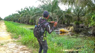 JANGAN AJAK ORANG INI MANCING !!! NGABIS2KAN AJA 🤣🤣🤣