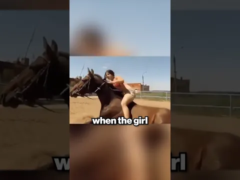 This Horse has 200 IQ ❤