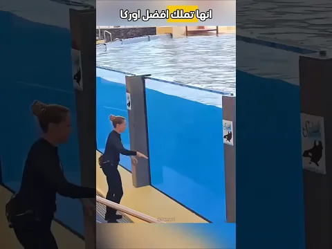 قامت برقصة جميلة مع حوت الأوركا ❤️ #shorts