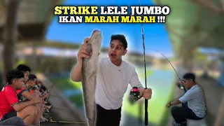 MANCING IKAN LELE KECIL DAN LELE JUMBO!! IKAN NGAMUK