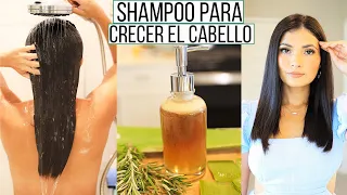 SHAMPOO DE ROMERO Y SABILA PARA CRECER EL CABELLO Y EVITAR LA CAIDA | Bessy Dressy