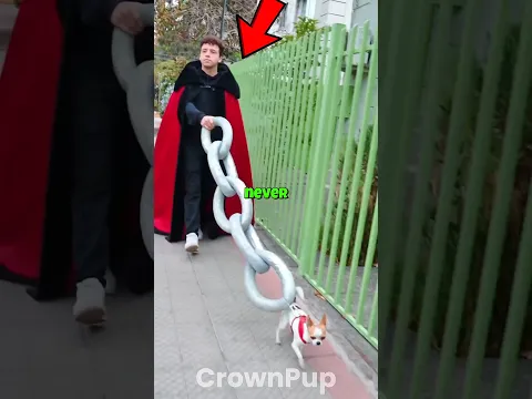 Never Let Go of Your Dog’s Leash 😭🐶