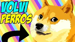 VOLVI PERROS