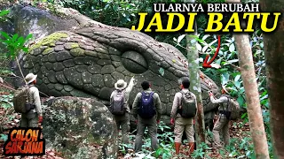 BUKAN DONGENG! 🐍⚠️ Inilah Penemuan Ular 150 Meter yang Telah Membatu Sempurna di Dunia!