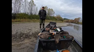 How To Process And Brine Wild Ducks: And a bit of jump shooting!