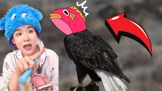 ปลาสลิดไม่มีหัว แต่ปลาอินทรีย์เป็นนก