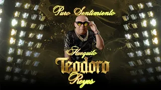 Teodoro Reyes - Huequito - Audio oficial