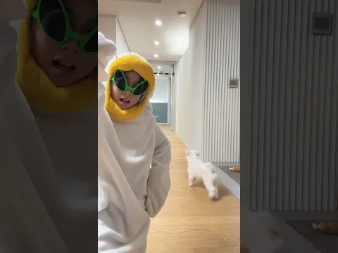 완벽하게 훈련한 강아지 #funny