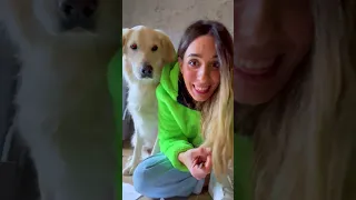 Vlogmas 9.12.22 #vlogmas2022