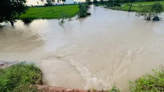 Flooding in the Cambodian Countryside 🌊🌾 #Cambodia #KhmerCountryside #FloodSeason