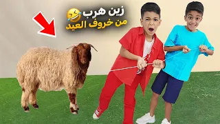 فلوق عيد الأضحى يزن وزين خافو وهربو من خروف العيد🤣رحنا ع بيت روني وع الألعاب(٢٠٢٤)#عالم_الفت