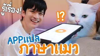 ใช้แอพแปลภาษาแมว คุยรู้เรื่องเฉย😂 | ติดเต๋า