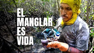 El Manglar Es Vida | Restoring mangroves, communities and climate benefits in Ecuador