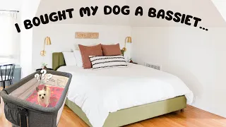 I BOUGHT A BASSINET FOR MY DOG!?