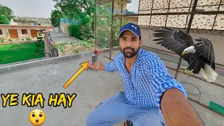 Ye Kia Chiz Ah Gai 😀 Naey Naey Prindey Ah Rahy Ghr 😍