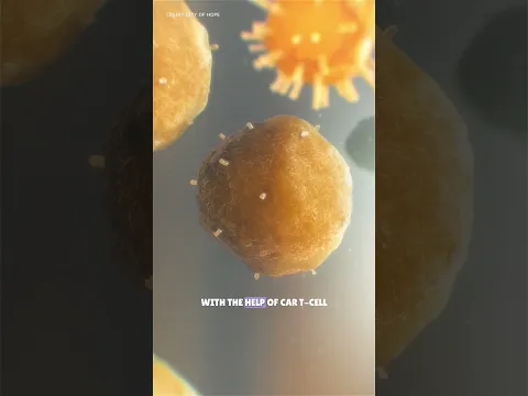 How T-Cells fight with cancer in human body #science #sciencefacts