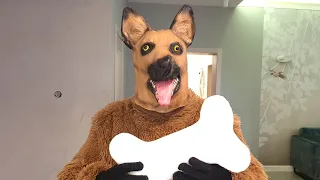 A big fat cat sneaked into the house and found a dog bone