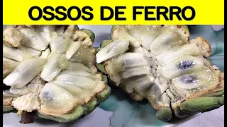 APOSENTADO DE 96 ANOS ME ENSINOU ISSO/ NUNCA + SOFRI COM DOR...