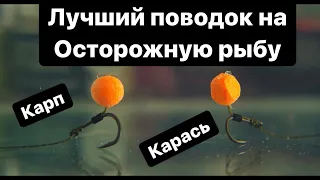 Самый лучший поводок на Карпа и Карася по ВЕСНЕ !