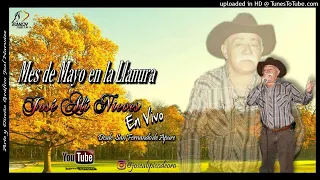 JOSÉ ALÍ NIEVES - MES DE MAYO EN LA LLANURA "EN VIVO" @joelantonionarvaez