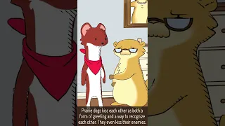 Natural Habitat Shorts Compilation Part 2