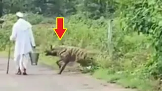 Detik Detik Pria di serang Heyna di Jalan Raya