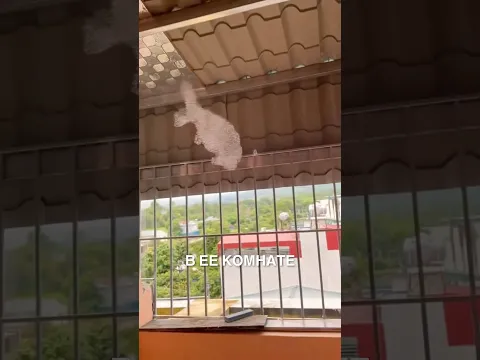 Мыльная рыба 😲 #истории #история #новости #новость #shorts