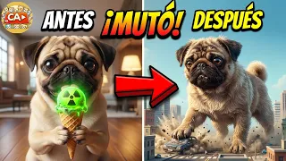 ¡No debió comer eso! El perrito se volvió un MONSTRUO 😱🐶