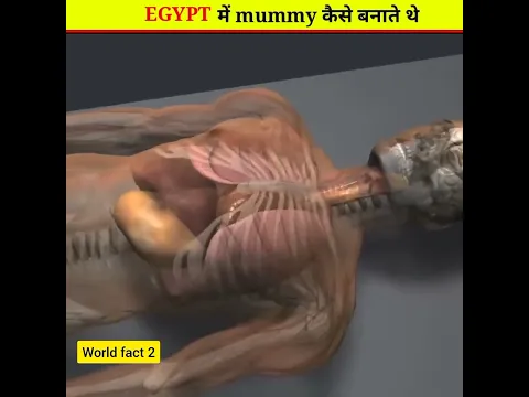 EGYPT में mummy कैसे बनाते हैं| #shorts #youtubeshorts #ytshorts #facts #egypt