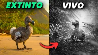 ¡Increíble! 10 Animales Extintos Encontrados Vivos (Los Más Sorprendentes)