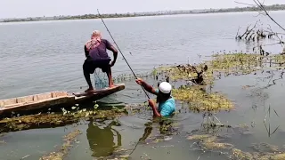Unbelievable Fishing Video|BiG Rohu Fish Catching in Krishna River|Fisher Man Catch With Rohu Fish
