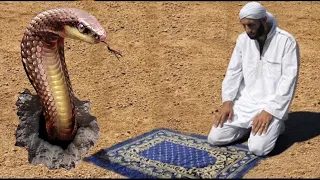 Nimaz Kay Doran Samp Nikal Aaya 🐍🐍 Allah Ki Qudrat