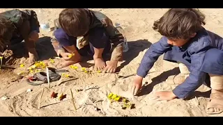 احلامنافسه لزراعة الورد الاصفر