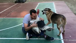 Men at Work! 😍 | Jaw Dropping Rescues