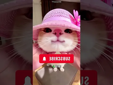 彼女が彼のために作った特別な指輪に感動…💍🥹 #viral #shorts