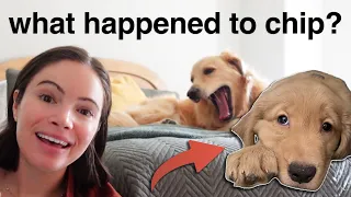 what happened to chip & the honest truth of why I left my last relationship